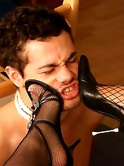 Disobedient guy forced to boot licking by his cruel lustful mistresses