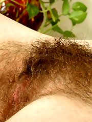 A delicate hairy pussy   gelery