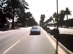 Flash -1981