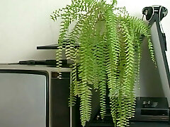 auf der pornocouch mt mal richtig gefickt auf der pornocouch mt mal richtig gefickt