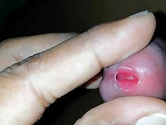 Sri Lankan insertion Sri Lankan insertion