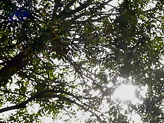 Riko Kanade - Take Care Of Me And Help Me With My Romp Ed. Homework Riko Kanade - Take Care Of Me And Help Me With My Romp Ed. Homework