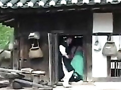 traditional korean girl gets fucked