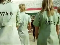Gefangene Frauen(1980年)