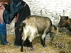 film rétro allemand amateur die echten sex vor der caméra film rétro allemand amateur die echten sex vor der caméra