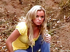 七十年代的模仿乐趣