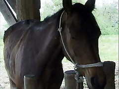 Storie Italiane di Puledre e Stalloni - Gig 1 Storie Italiane di Puledre e Stalloni - Gig 1