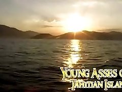 Young Asses of Tahtian Island