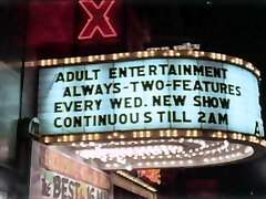 The erotic memoirs of a male chauvinist pig 1973