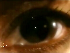 Pb82: Police Branch 82 Rebirth Silk & Steele Pb82: Police Branch 82 Rebirth Silk & Steele