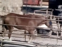 Outdoor Big Hooter Retro Sex