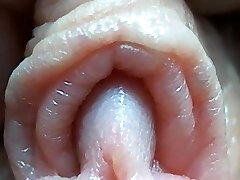 Clitoris close-up
