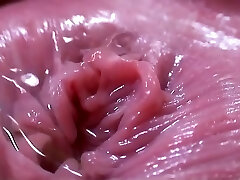 casi meando casi meando