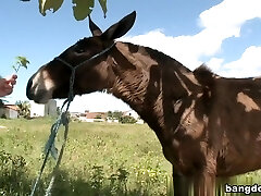 Viviane Melo in Donkeys & Latin Chicks Viviane Melo in Donkeys & Latin Chicks