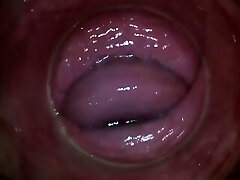 PJGIRLS - Camera deep inside Paula Bashful's vagina (Full HD Pussy Cam)