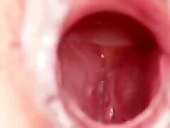 La Secreción Vaginal