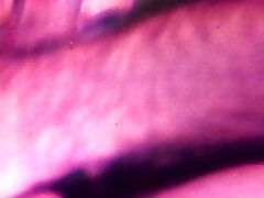 Napalone bogate studentki w domu 4 Napalone bogate studentki w domu 4