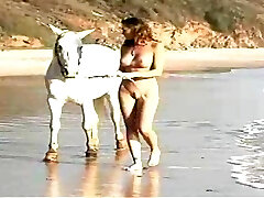 die sexy brünette merritt cabal reitet auf ihrem pferd und liebt es