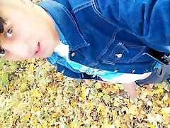 Autumn pissing on dry leaves in a park