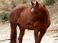 POV squirt alert - Episode #Eighteen