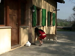 hermosas brujas en celo (película completa) hermosas brujas en celo (película completa)