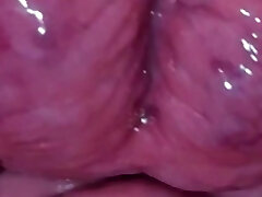 The origin of life The origin of life