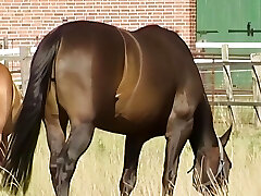 junge naturvebundenes teenager mastubiert gerne im freien junge naturvebundenes teenager mastubiert gerne im freien