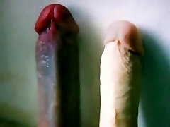 Mature Wife&#039;s Summer Holidays