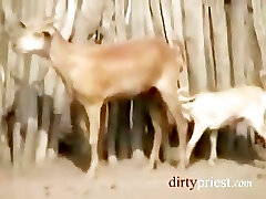 Japanese Reporter Gets Penetrated By African Tribesmen Japanese Reporter Gets Penetrated By African Tribesmen