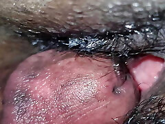 The wet pusy The wet pusy