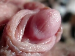 Pulsing Hard Nub In Extreme Close Up