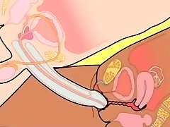 Orgasm sex How to insert penis in vagina