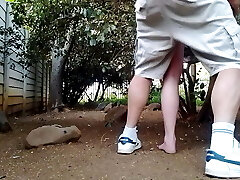 Smashing the neighbors wife in the garden