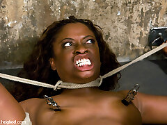 Monique in HogTied Welcome Marvelous Milf Monique For Her First Hard-core Bondage Experience. - HogTied