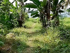 pee pov en la plantación de palmeras