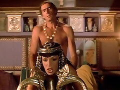 Lean and lascivious Cleopatra getting boned in doggy style position Lean and lascivious Cleopatra getting boned in doggy style position