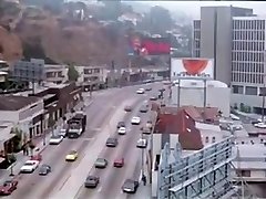 It's My Job It's My Job