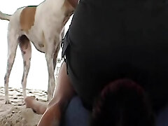 A super-naughty German lady sitting on her marionettes's face at the beach