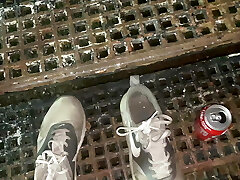 Cracky得到她讨厌的猫了一个电梯回家