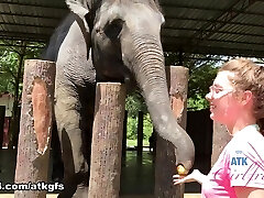 埃琳娜Koshka在虚拟度假Vid-ATKGirlfriends 埃琳娜Koshka在虚拟度假Vid-ATKGirlfriends