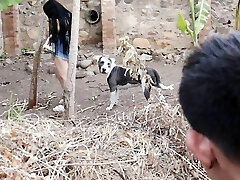 我的BIGTITS邻居是浇水植物和我他妈的她户外活动 我的BIGTITS邻居是浇水植物和我他妈的她户外活动