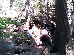Forest spycam jerking off #6