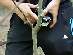 cum-shot outdoors in nature in stocking on branch 2