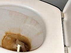 Cleaning nasty toilet in Protection 