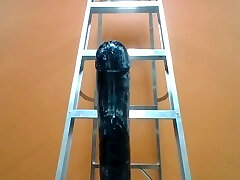 Toying with The Black Destroyer .. so big I needed a ladder
