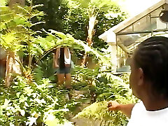 Sexy black gal gets her smooth-shaven pussy and tight asshole licked