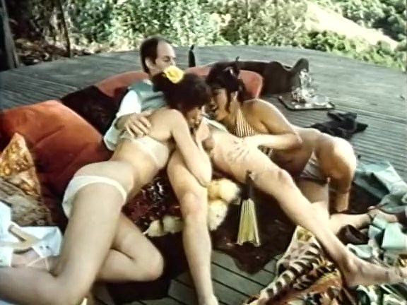 Annette Haven Anal - Annette Haven, Lisa De Leeuw, Paul Thomas in vintage xxx movie