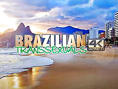 BRAZILIAN TRANSSEXUALS: Great pairing in our new 2 Stars