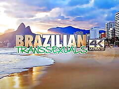 BRAZILIAN TRANSSEXUALS: Surprising Return of this Super Hung T-Model