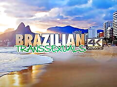 تراجنسی های برزیلی: یک برخورد بی عیب و نقص دیگر از تی تیتان ها